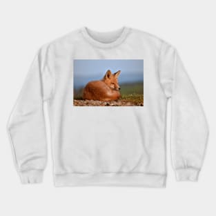 Alert Red Fox Kit Crewneck Sweatshirt